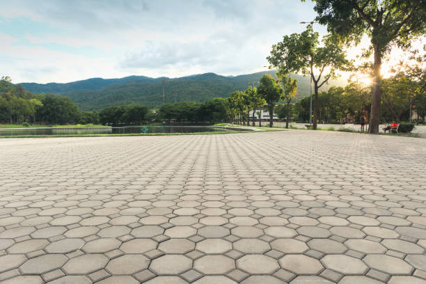 Best Driveway Pavers Near Me  in Excelsior Springs, MO